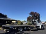 FREIGHTLINER BUSINESS CLASS M2 106
