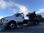 FORD F650 XLT SD