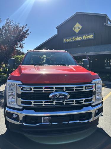 FORD F550 XLT