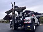 RAM 5500 HD SLT