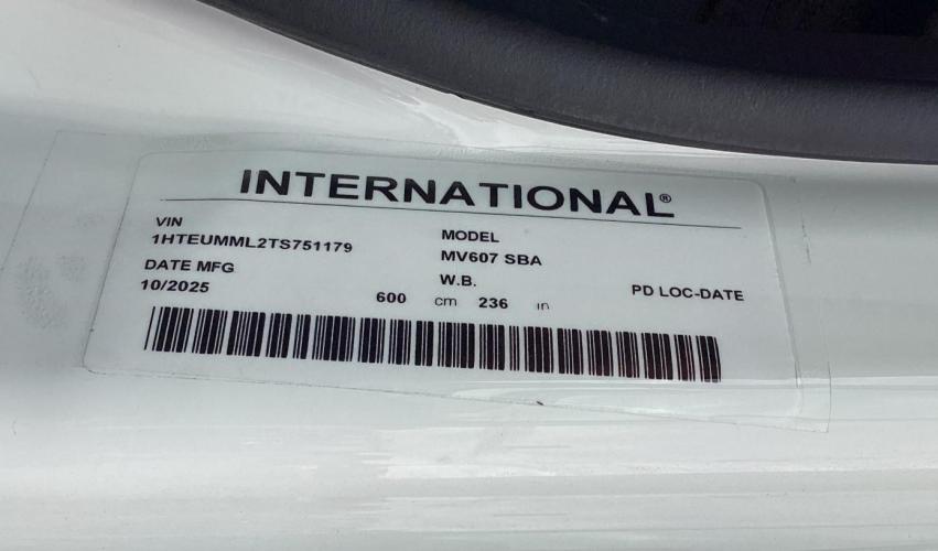 INTERNATIONAL MV