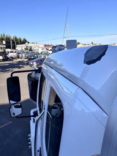 FREIGHTLINER BUSINESS CLASS M2 106