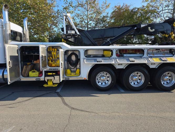PETERBILT 389