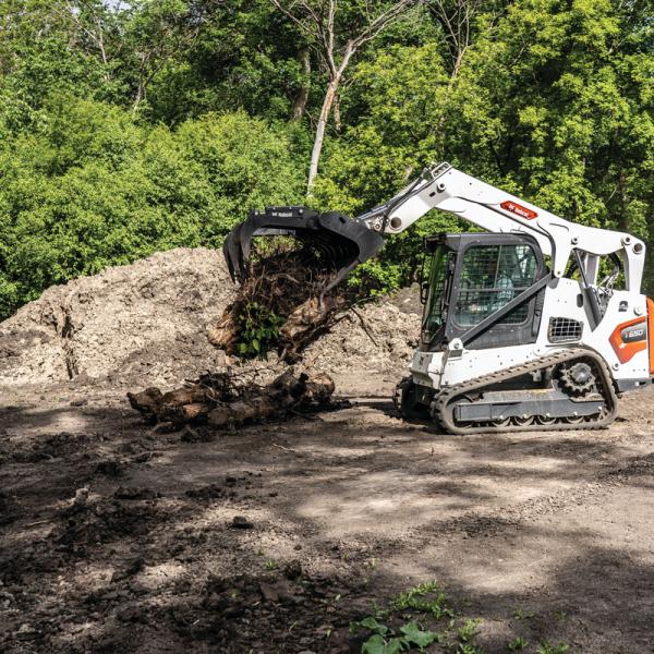 Bobcat