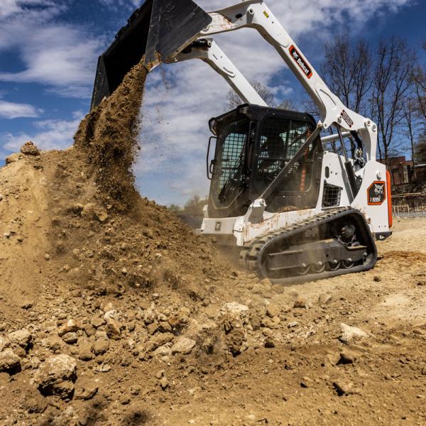 Bobcat