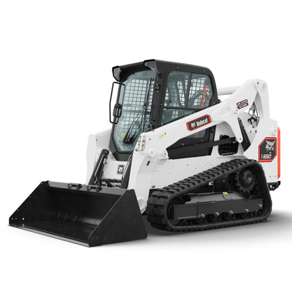 Bobcat