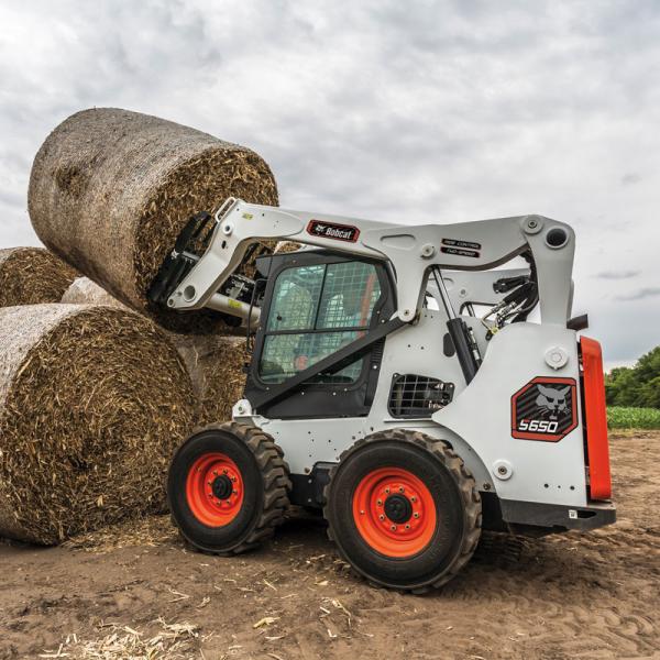 Bobcat