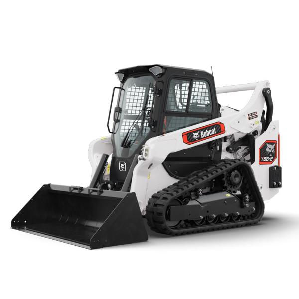 Bobcat