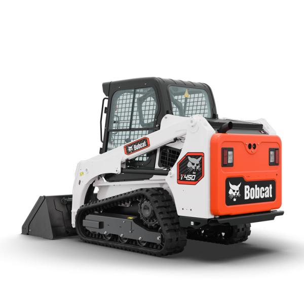 Bobcat