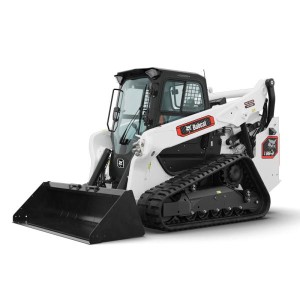 Bobcat