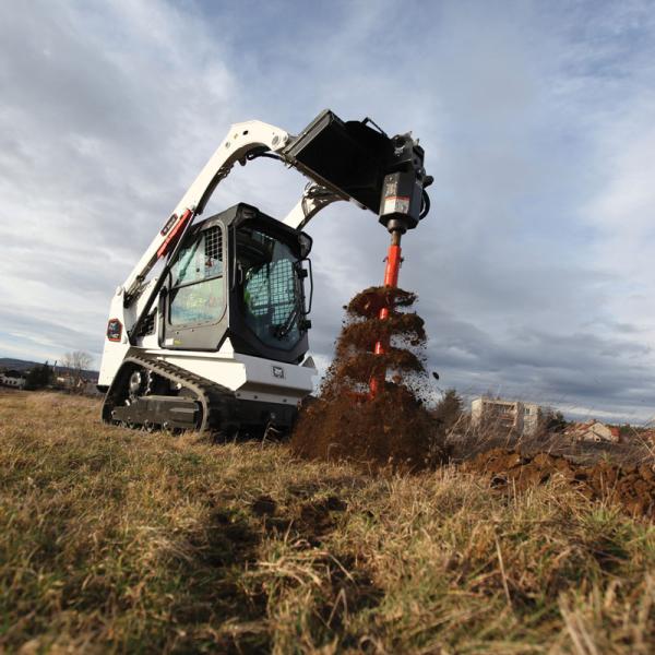 Bobcat