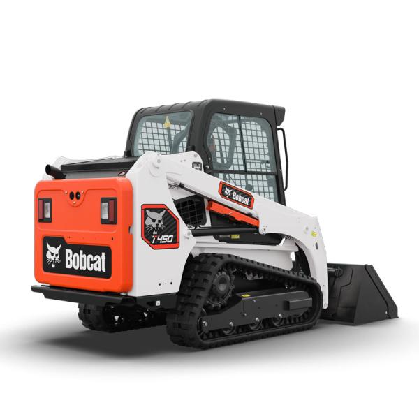 Bobcat
