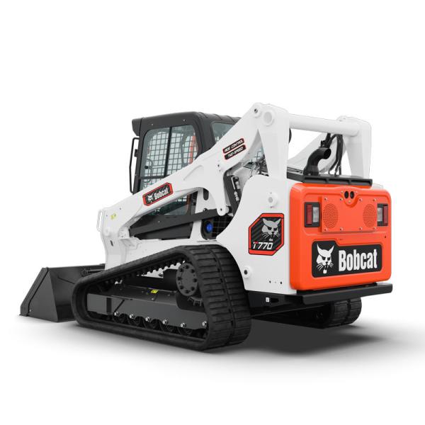 Bobcat