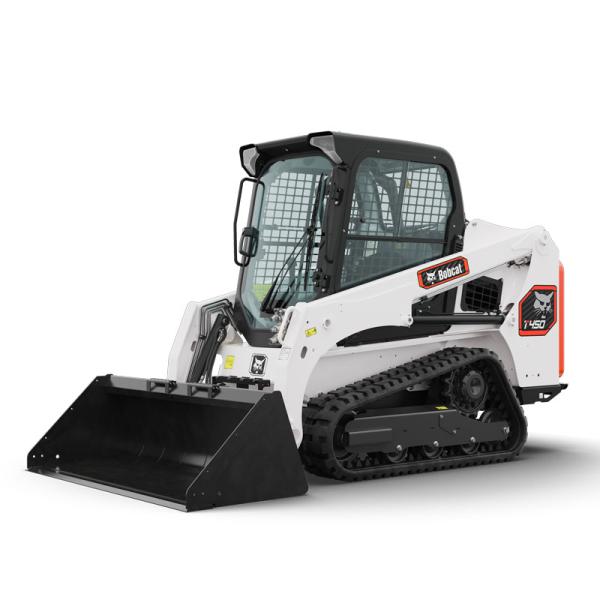 Bobcat