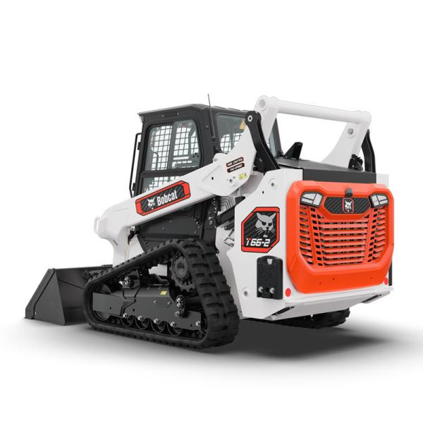 Bobcat