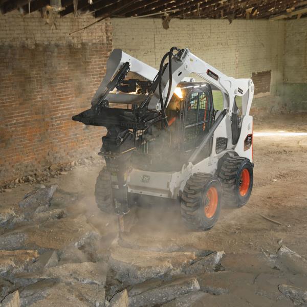 Bobcat