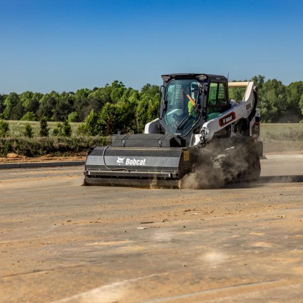 Bobcat