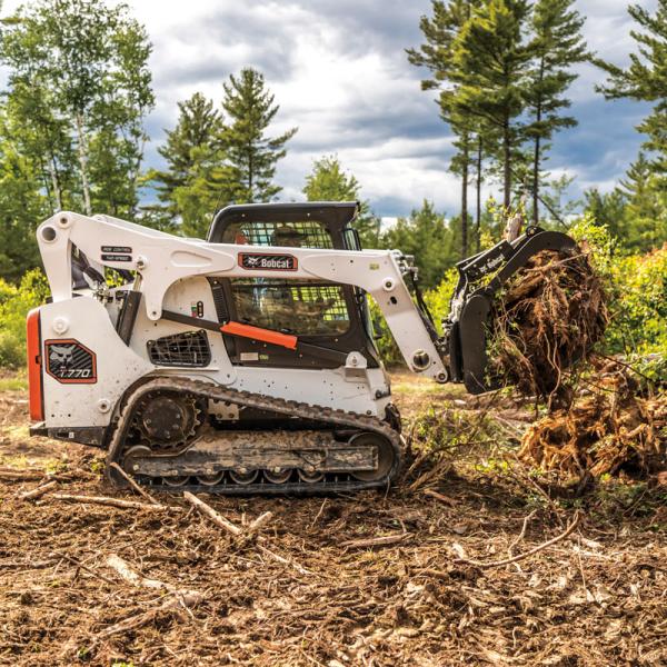 Bobcat