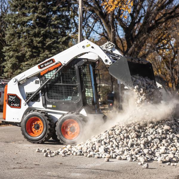 Bobcat