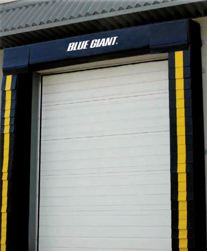 Blue Giant Fixed Head Pad