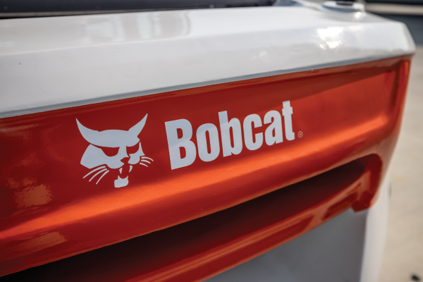 Bobcat
