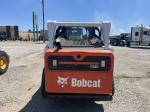 Bobcat T590