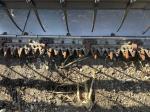 John Deere 620F